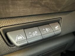 
										RENAULT KANGOO III 1.5 BLUE DCI 115CH TECHNO EDC full									