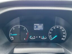 
										FORD TRANSIT CUSTOM FG 300 L1H1 2.0 ECOBLUE 105 CABINE APPROFONDIE TREND BUSINESS full									