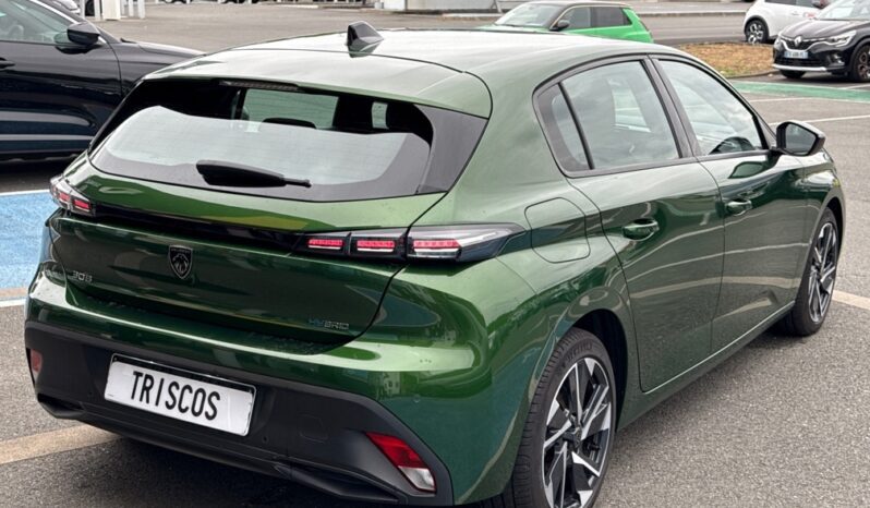 
								PEUGEOT 308 PLUG-IN HYBRID 180CH ACTIVE PACK E-EAT8 full									