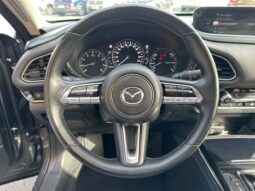 
										MAZDA CX-30 2.0 SKYACTIV-X M-HYBRID 180CH SPORTLINE BVA full									