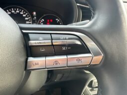 
										MAZDA CX-30 2.0 SKYACTIV-X M-HYBRID 180CH SPORTLINE BVA full									