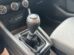 
										RENAULT CLIO V 1.0 TCE 90CH EVOLUTION – 24 full									