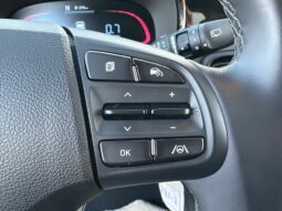 
										HYUNDAI I10 1.0 63CH ECO INTUITIVE BVR full									