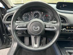 
										MAZDA CX-30 2.0 SKYACTIV-X M-HYBRID 180CH SPORTLINE BVA 2020 full									