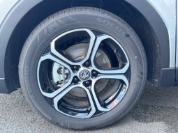 
										MG MOTOR ZS HYBRID+ 197CH COMFORT full									