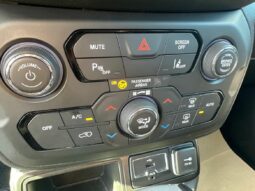 
										JEEP RENEGADE 1.5 TURBO T4 130CH MHEV LIMITED BVR7 full									
