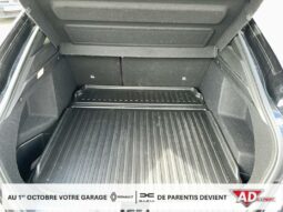 
										Renault Arkana R.S. Line TCe 160 EDC FAP – 21B full									